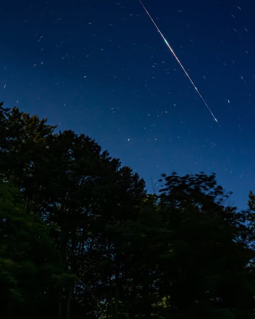 A bright trail across a blue night sky above trees